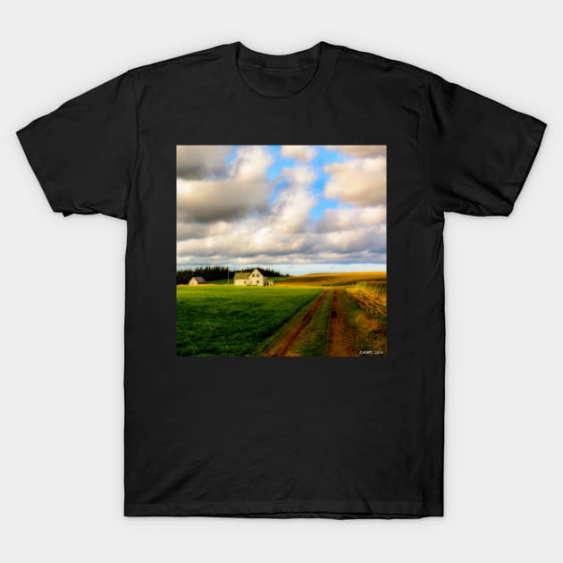 Dirt Road to Old Homestead T-Shirt by kenmo